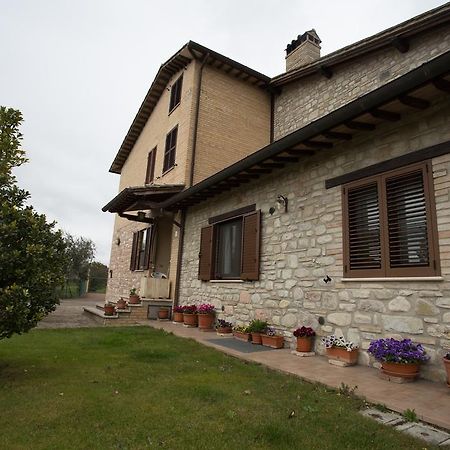 Assisana Affittacamere Santa Maria Degli Angeli  Eksteriør bilde