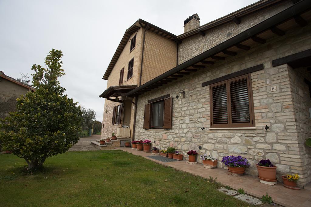 Assisana Affittacamere Santa Maria Degli Angeli  Eksteriør bilde